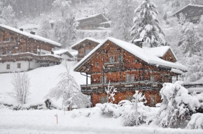 Ferienhaus Steiner, Wald Im Pinzgau, Österreich
